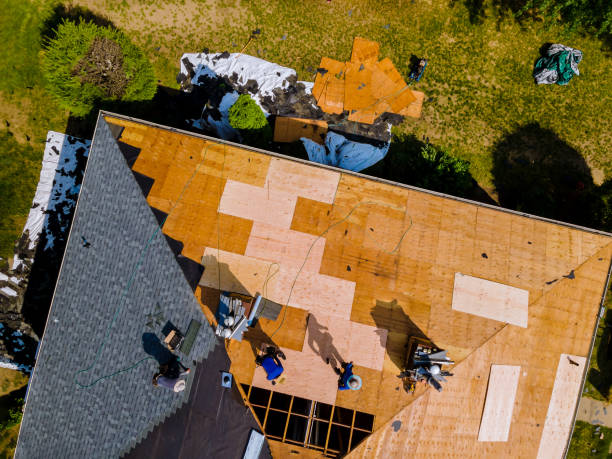 Best Roof Leak Repair  in Freeman, SD