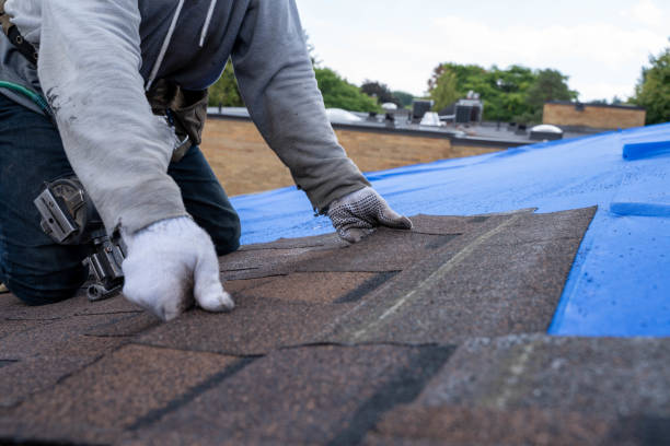 Best Emergency Roof Repair  in Freeman, SD