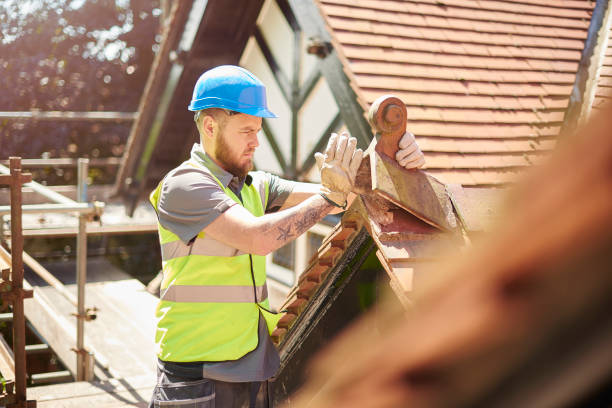 Best Metal Roofing Contractor  in Freeman, SD